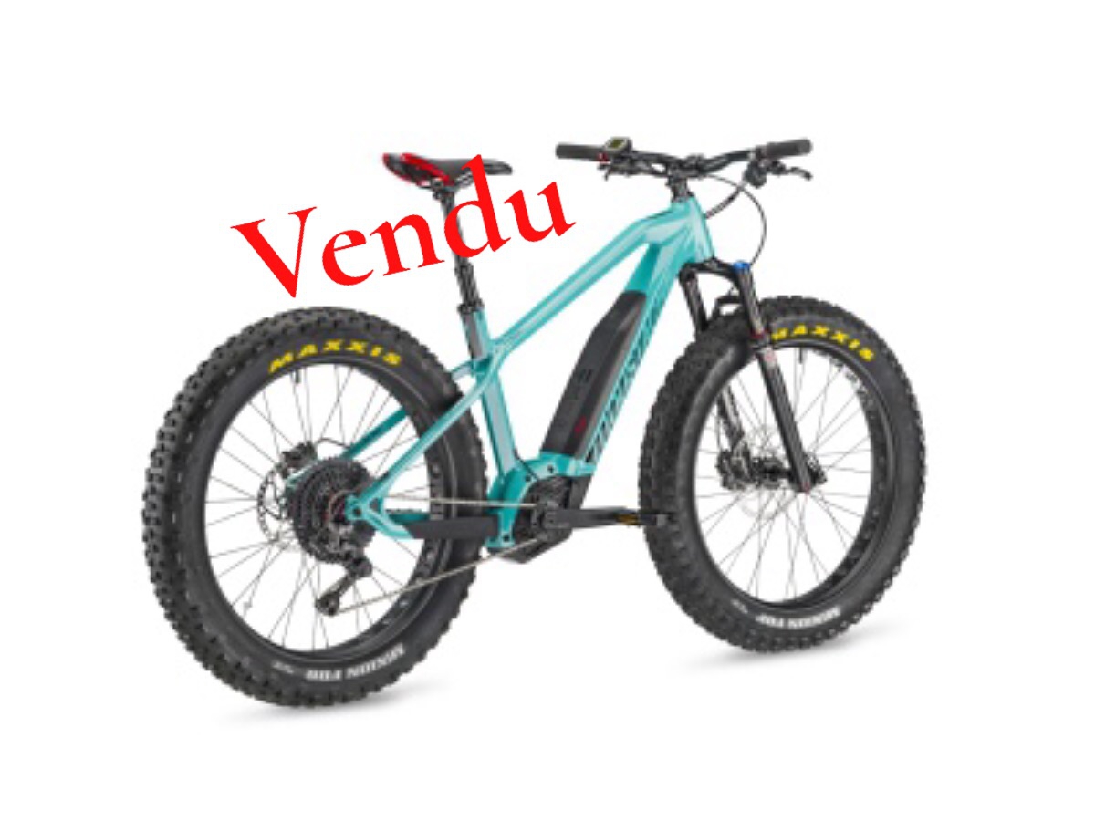 Moustache Wild Fat Promo Bike World Lux