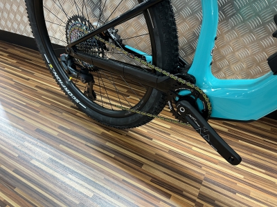 Wilier Urta hybrid Bike World Lux