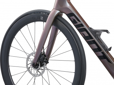 Giant Propel Advanced 1 Promo Bike World Lux