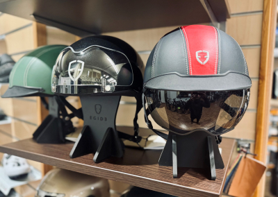 Egide Bike World Lux